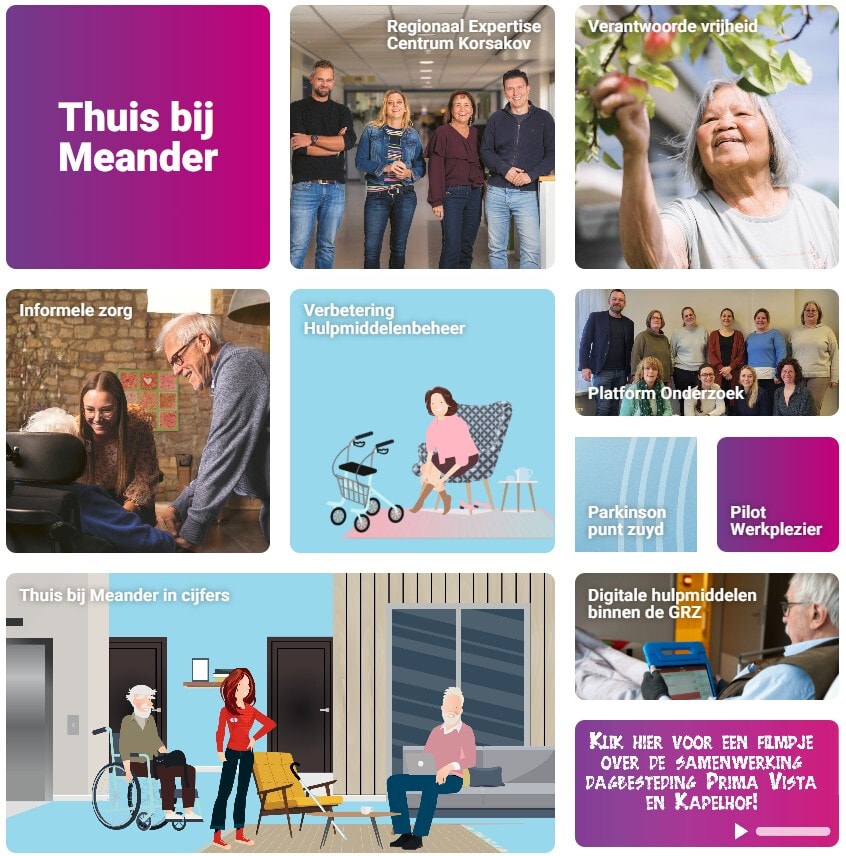 Collage verschillende tegels onder de titel 'Thuis bij Meander'.