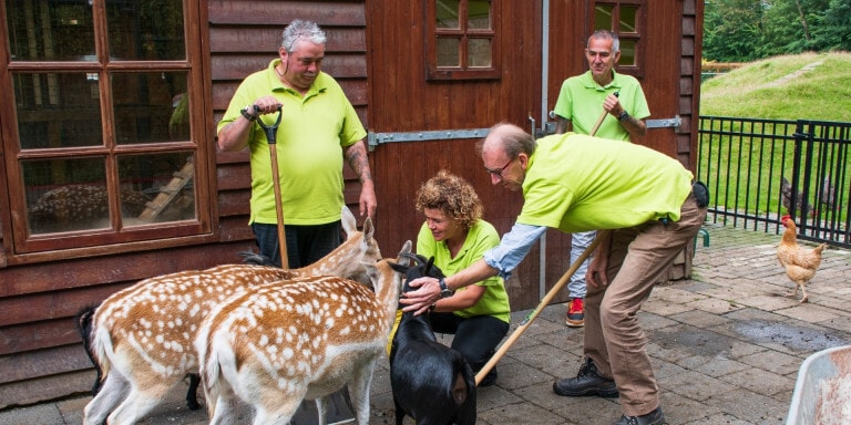 Vier personen in groene shirts verzorgt dieren bij een houten stal. Twee mannen houden tuingereedschap vast, terwijl een vrouw en een man een zwarte geit en twee herten aaien.